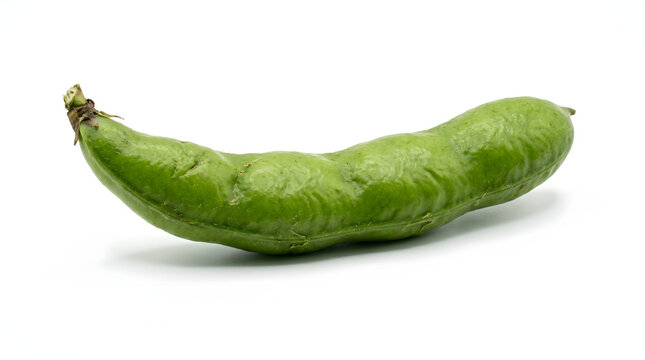 Single green broad bean pod isolated on a white background
