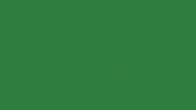 White border and black button on red the tio logo it green screen design colorful motion