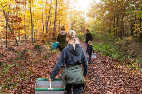 Family walks along forest path in autumn light, carrying baskets for mushroom picking and nature exploration. Warm woodland scene shows children, parents, foliage, adventure, and outdoor learning