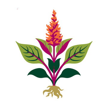Flat illustration of a flowering plant with roots