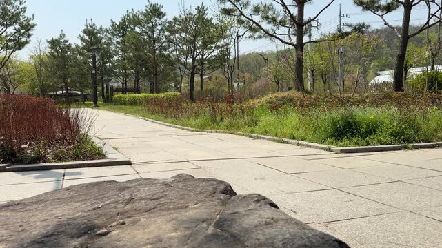 Peaceful stone paved walking path in a sunny public nature park featuring a large textured foreground rock and green pine trees
