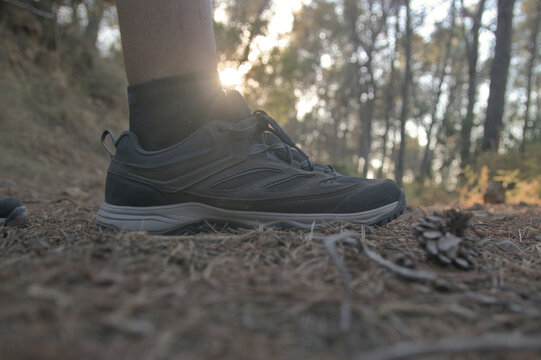 Detalle de zapatillas de senderismo pisando suelo con piedras y pinocha en un bosque
