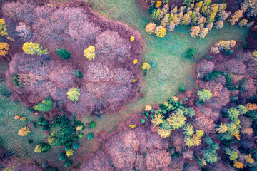 Wierchomla, Małopolska, Sądeckie, jesień widok z powietrza. © Maciej G. Szling