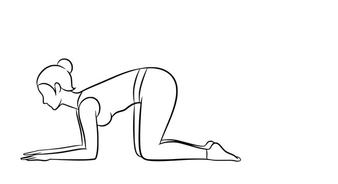 Woman practicing yoga on forearms and knees, minimalist outline drawing