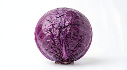 Fototapeta premium Fresh Organic Whole Head of Red Purple Cabbage Isolated on a Pure White Background