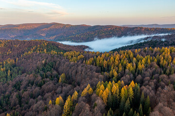 Wierchomla, Małopolska, Sądeckie, jesień widok z powietrza. © Maciej G. Szling