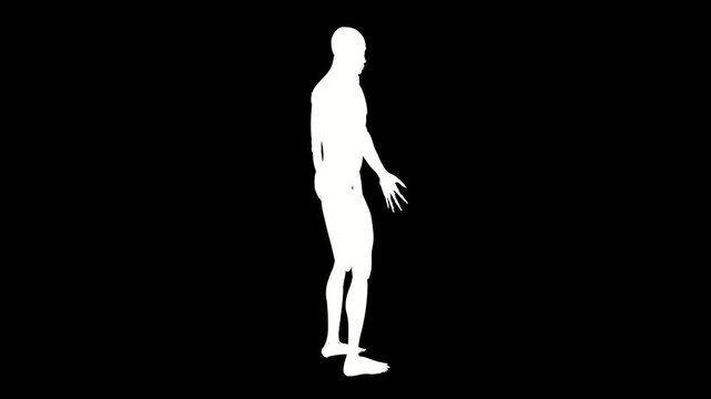 360 Degree Silhouette Rotation of Human Figure