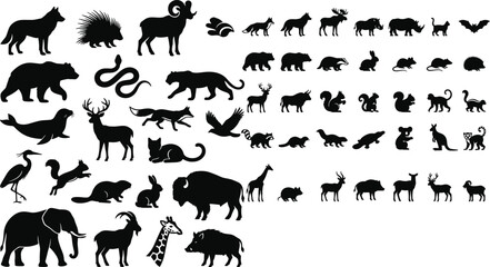 Large collection of wild animal and mammal silhouettes for nature and wildlife design © razia