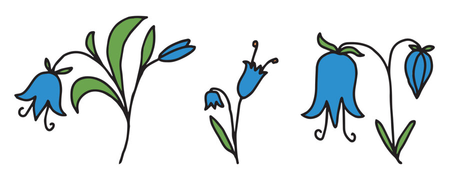 Blue bells flowers set, contour hand drawings vector isolated on white background