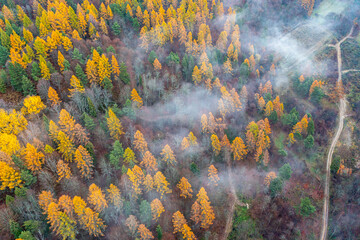 Dubne, Góry Leluchowskie, Beskid Sądecki, Karpaty, EU © Maciej G. Szling
