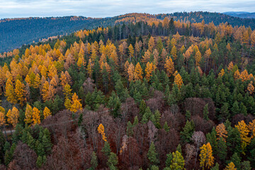 Dubne, Góry Leluchowskie, Beskid Sądecki, Karpaty, EU © Maciej G. Szling