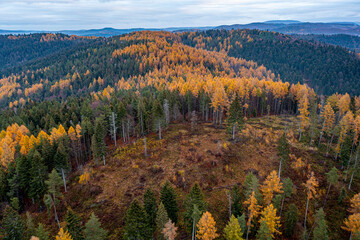 Dubne, Góry Leluchowskie, Beskid Sądecki, Karpaty, EU © Maciej G. Szling