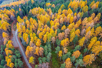Dubne, Góry Leluchowskie, Beskid Sądecki, Karpaty, EU © Maciej G. Szling