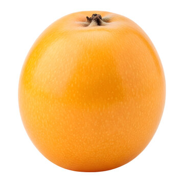 Fresh whole yellow loquat fruit isolated on a transparent background