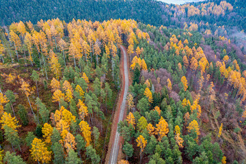 Dubne, Góry Leluchowskie, Beskid Sądecki, Karpaty, EU © Maciej G. Szling