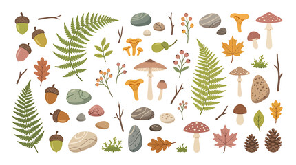 Colorful autumn forest elements flat illustration. © habibi