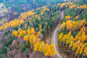 Dubne, Góry Leluchowskie, Beskid Sądecki, Karpaty, EU © Maciej G. Szling