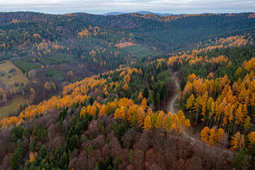 Dubne, Góry Leluchowskie, Beskid Sądecki, Karpaty, EU © Maciej G. Szling