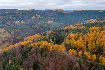 Dubne, Góry Leluchowskie, Beskid Sądecki, Karpaty, EU © Maciej G. Szling