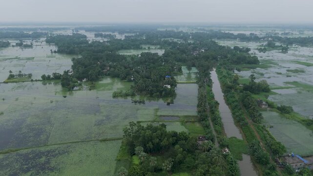 Drone view of an Indian village submerged after heavy monsoon rainfall, with floodwaters covering lush green fields. A striking aerial landscape showcasing nature, climate, and rural resilience in 4K.