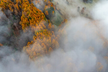 Małopolska, jesień , Góry Leluchowskie, Karpaty © Maciej G. Szling