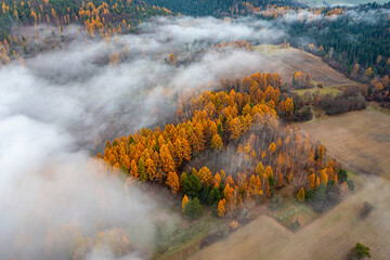 Małopolska, jesień , Góry Leluchowskie, Karpaty © Maciej G. Szling