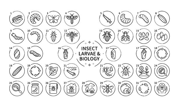 Insect Larvae Outline Icons with Editable Stroke for Biology Education and Entomology Design
