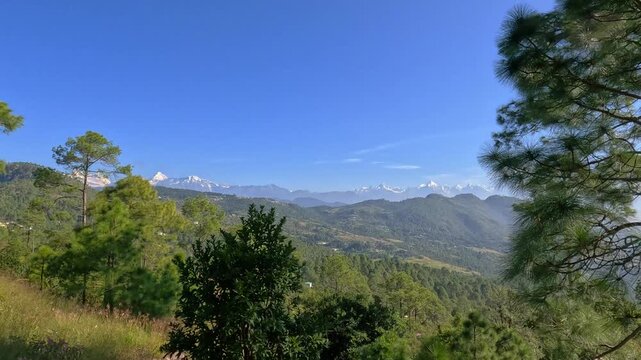 Scenic mountain landscape featuring distant snow peaks and pine trees under a clear blue sky near Chaukori