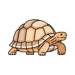 Naklejka premium A Desert Tortoise Isolated on Transparent Background