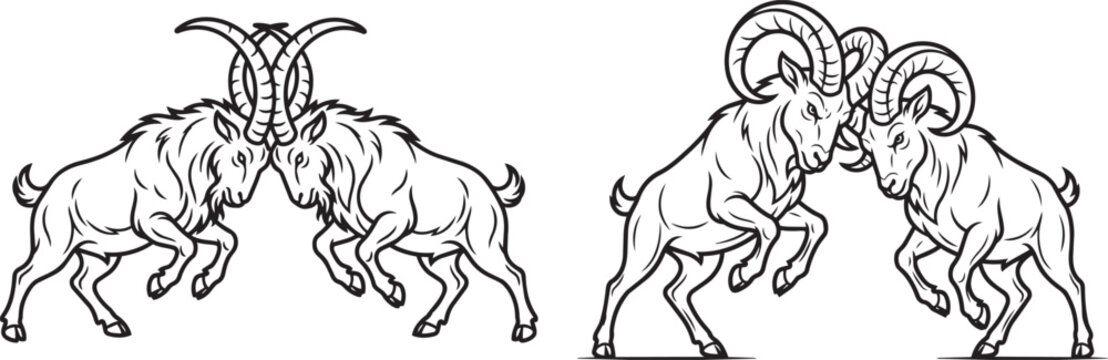 Two mountain goats with large curved horns fighting or head butting each other illustration set for nature design and wildlife apparel graphic art.