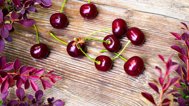 Ripe black cherry on wooden board, macro close-up, cherry wood, garden.