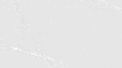 Obraz premium Spider web with fine strands of silk on transparent background during daylight in a natural setting
