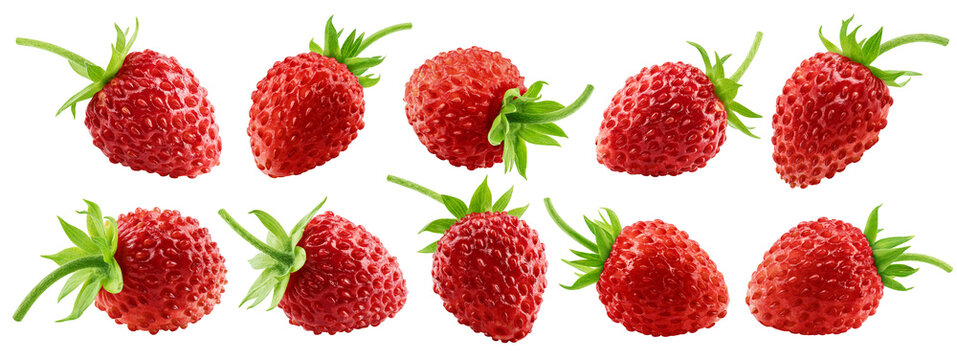 wild Strawberry isolated, full depth of field