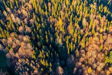 Małopolska, jesień , Góry Leluchowskie, Karpaty © Maciej G. Szling