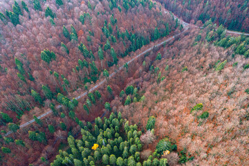 Małopolska, jesień , Góry Leluchowskie, Karpaty © Maciej G. Szling