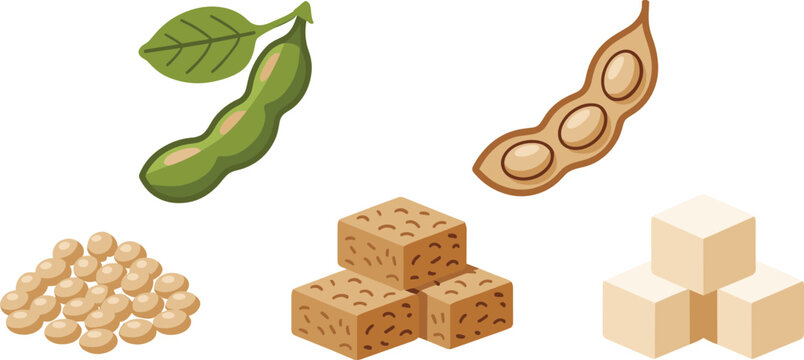 Soy product vector collection featuring edamame green pods fresh leaves round beans tofu cubes and tempeh blocks for vegan food branding