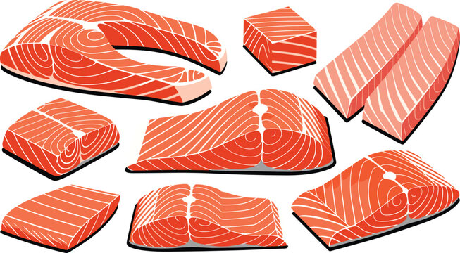 Salmon fish cut collection featuring raw pink trout steaks boneless fillet portions fresh chunks slices and cubes for seafood packaging designs