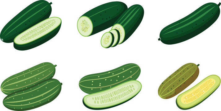 Cucumber illustration set featuring dark and light green gherkins whole pieces half cuts and round slices for pickle branding and healthy salad designs