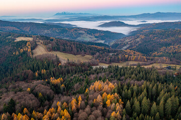 Małopolska, jesień , Wierchomla, Beskid Sądecki, Karpaty © Maciej G. Szling