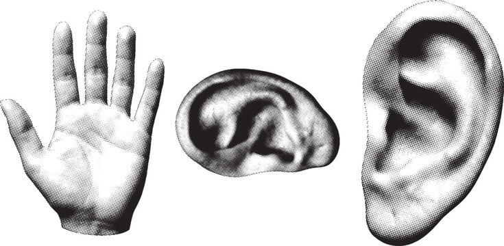 Halftone rendered human ear and hand elements against a white background for conceptual design