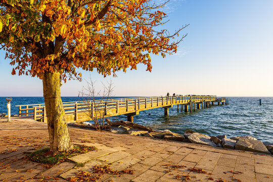 Promenade mit Baum und Seebr&uuml;cke im Herbst in der Stadt Sassnitz auf der Insel R&uuml;gen
