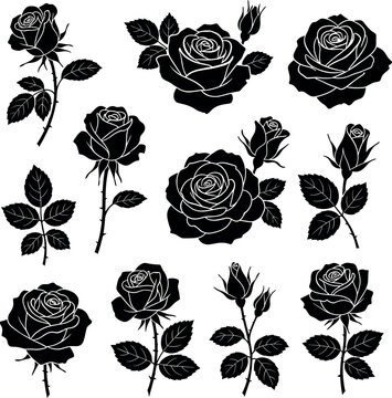 Set of elegant black rose silhouette illustrations featuring detailed botanical blossoms and leaves for romantic designs.