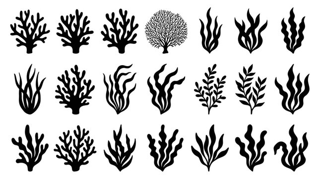 Assorted Collection of Marine Life Coral and Seaweed Silhouettes, Isolated White Background