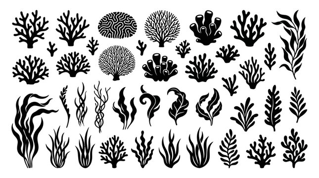 Diverse Collection of Coral and Seaweed Silhouettes, Isolated White Background
