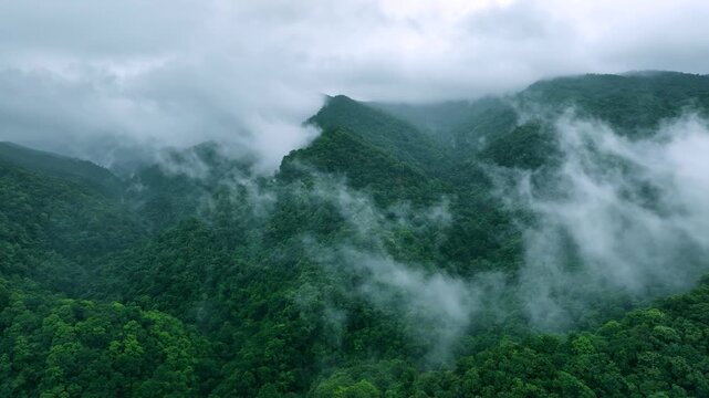 Cloud Covered Forest Mountains for Nature and ESG Concepts