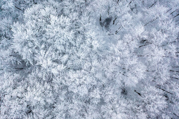 Beskid Sądecki, Hala Łabowska, Małopolska, Zima, Sądeckie, © Maciej G. Szling