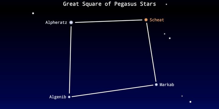 The Great Square of Pegasus Stars Asterism in the Night Sky Illustration (Alpheratz, Scheat, Markab, Algenib)