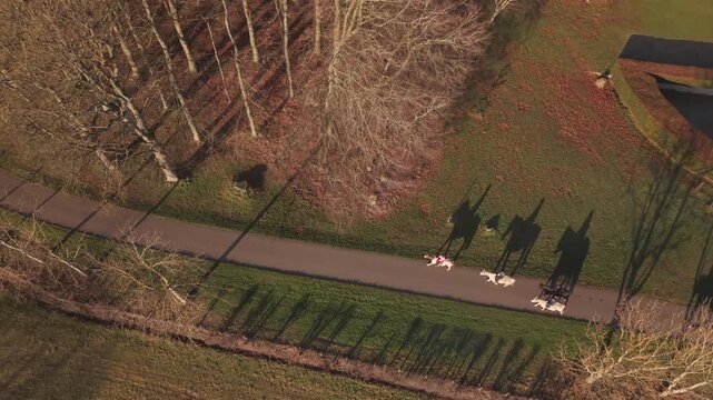 Aerial view of horses being ridden along a path near trees with long shadows at Hill of Tarvit in Cupar, Scotland, United Kingdom.