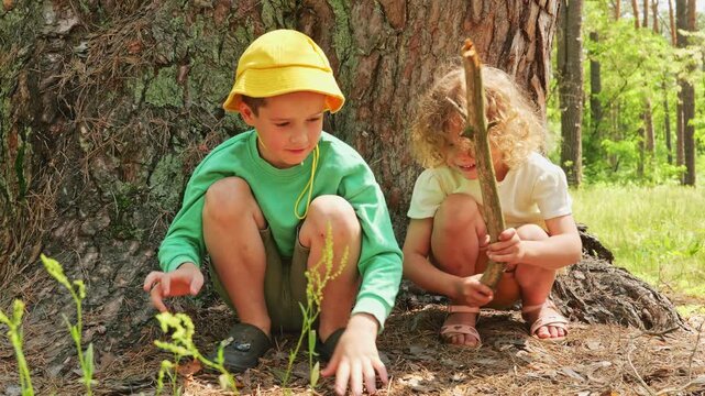 Two kids are sitting by a big tree in the forest. One child is using a stick to poke the ground. The other child is holding a long stick and watching closely
