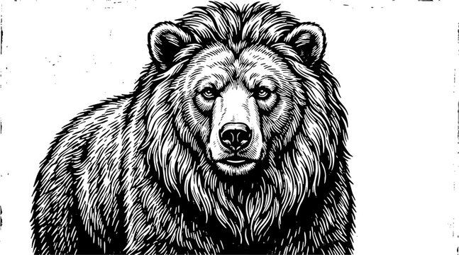 Black and White Woodcut Illustration of a Grizzly Bear Head